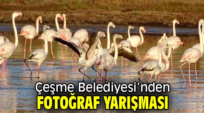 Çeşme Belediyesi'nden fotoğraf yarışması