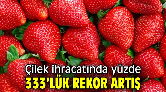 Çilek ihracatında yüzde 333'lük rekor artış 