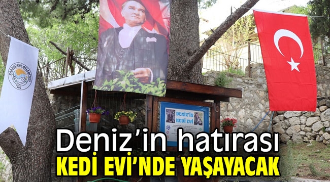 Deniz'in hatırası Kedi Evi'nde yaşayacak