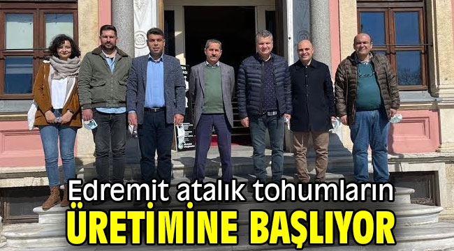 Edremit atalık tohumların üretimine başlıyor