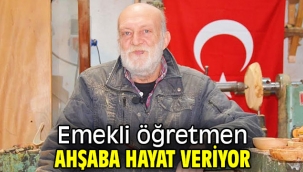 Emekli öğretmen ahşaba hayat veriyor