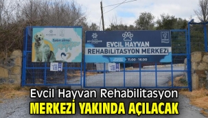 Evcil Hayvan Rehabilitasyon Merkezi yakında açılacak