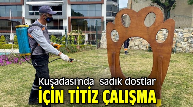 Kuşadası'nda sadık dostlar için titiz çalışma