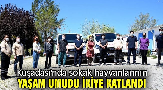 Kuşadası'nda sokak hayvanlarının yaşam umudu ikiye katlandı