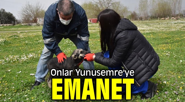  Onlar Yunusemre'ye emanet