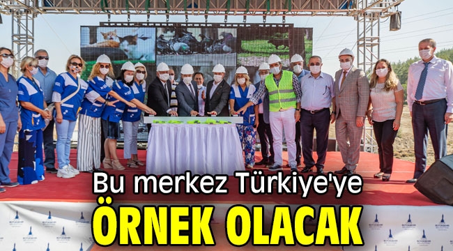 Sokak hayvanlarının yeni yuvası sonbahara hazır