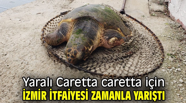 Yaralı Caretta caretta için İzmir İtfaiyesi zamanla yarıştı
