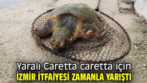 Yaralı Caretta caretta için İzmir İtfaiyesi zamanla yarıştı