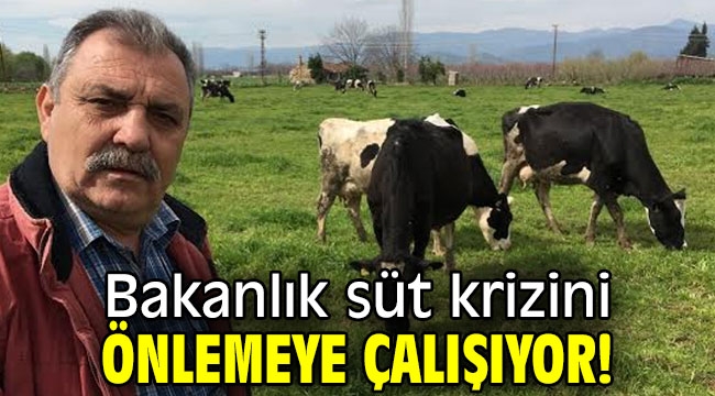 Bakanlık süt krizini önlemeye çalışıyor!