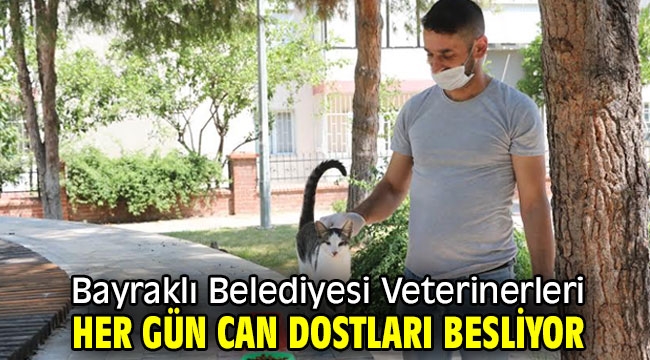 Bayraklı Belediyesi Veterinerleri her gün can dostları besliyor