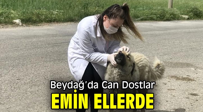 Beydağ'da Can Dostlar Emin Ellerde