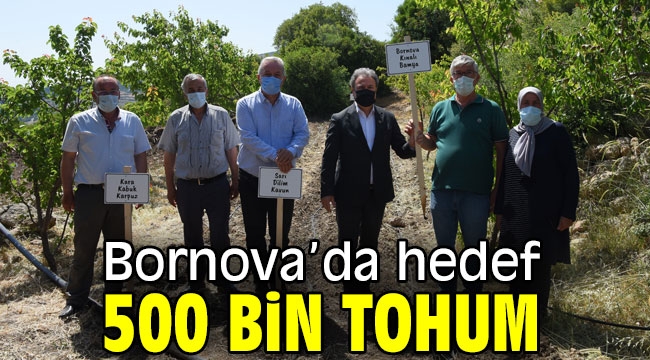 Bornova'da hedef 500 bin tohum