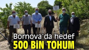 Bornova'da hedef 500 bin tohum