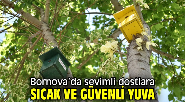 Bornova'da sevimli dostlara sıcak ve güvenli yuva