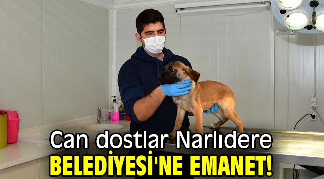 Can dostlar Narlıdere Belediyesi'ne emanet!