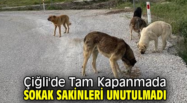 Çiğli'de Tam Kapanmada Sokak Sakinleri unutulmadı