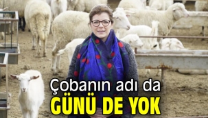 Çobanın adı da günü de yok