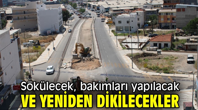 İzmir Büyükşehir'den tramvay çalışmalarında ağaç kararı