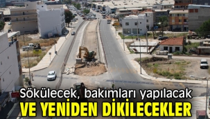 İzmir Büyükşehir'den tramvay çalışmalarında ağaç kararı