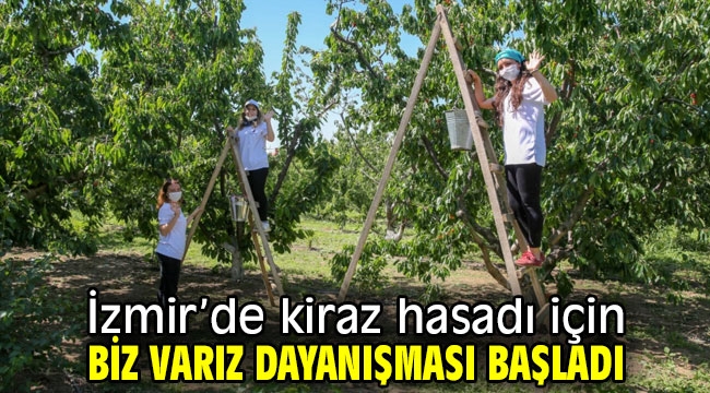 İzmir'de kiraz hasadı için Biz Varız dayanışması başladı