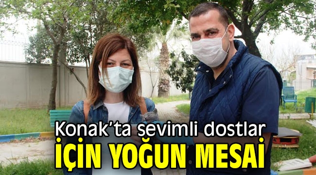 Konak'ta sevimli dostlar için yoğun mesai