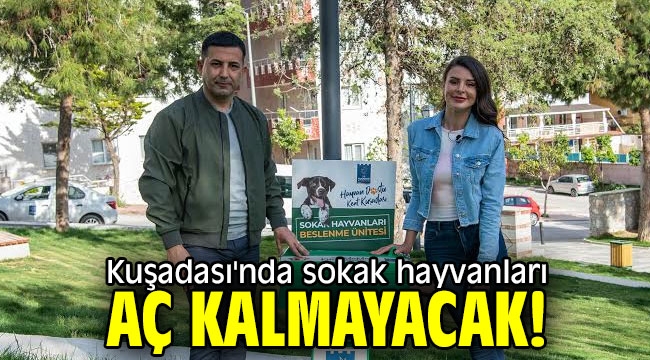 Kuşadası'nda sokak hayvanları aç kalmayacak!