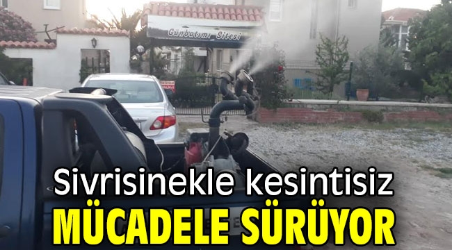 SİVRİSİNEKLE KESİNTİSİZ MÜCADELE SÜRÜYOR