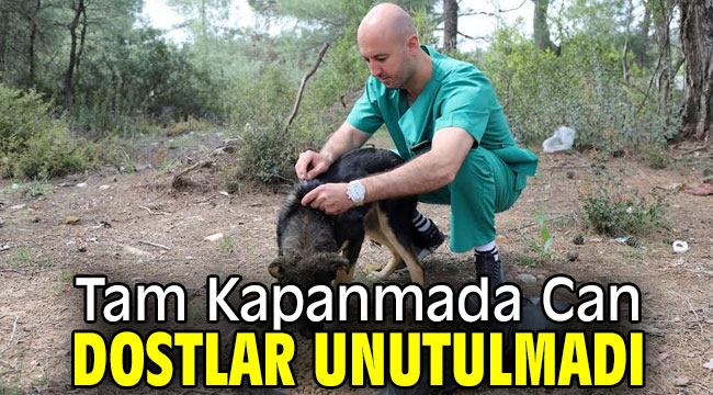 Tam Kapanmada Can Dostlar Unutulmadı