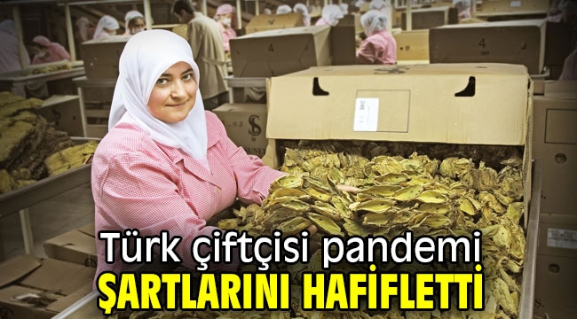 Türk çiftçisi pandemi şartlarını hafifletti