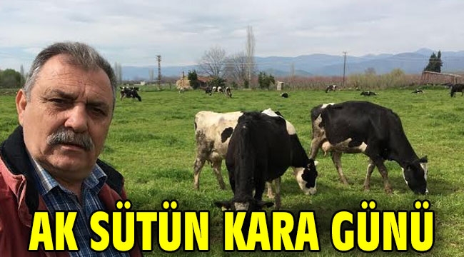 Ak sütün Kara günü