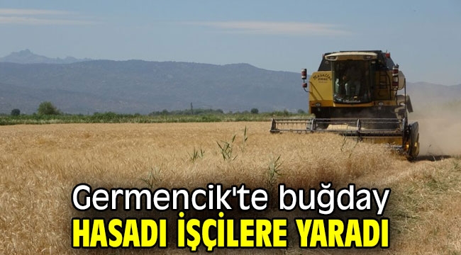 Germencik'te buğday hasadı işçilere yaradı