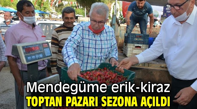 Mendegüme erik-kiraz toptan pazarı sezona açıldı