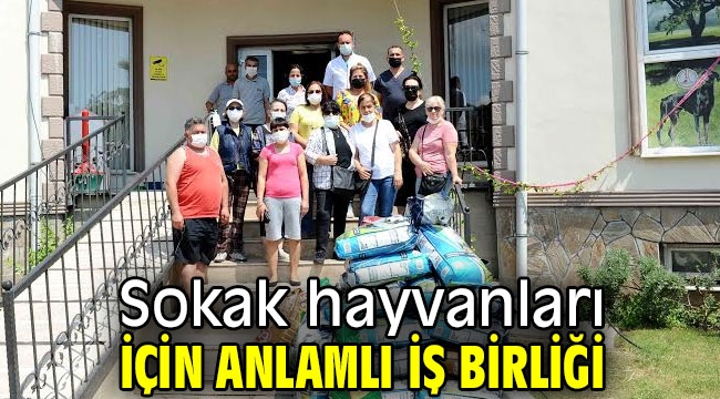 Sokak hayvanları için anlamlı iş birliği