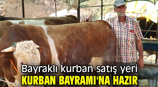 Bayraklı kurban satış yeri Kurban Bayramı'na hazır