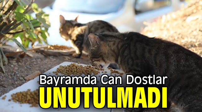 Bayramda Can Dostlar Unutulmadı