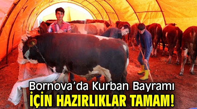 Bornova'da Kurban Bayramı için hazırlıklar tamam!