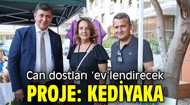 Can dostları 'ev'lendirecek proje: KediYaka 