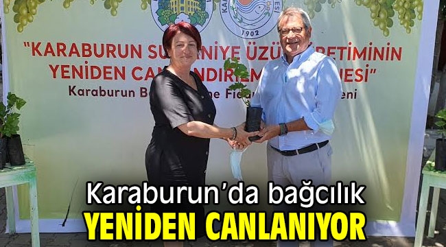 Karaburun'da bağcılık yeniden canlanıyor… 