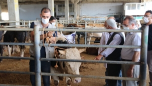 Kurban Bayramı ile ilgili flaş gelişme: Bu sene yasaklandı!