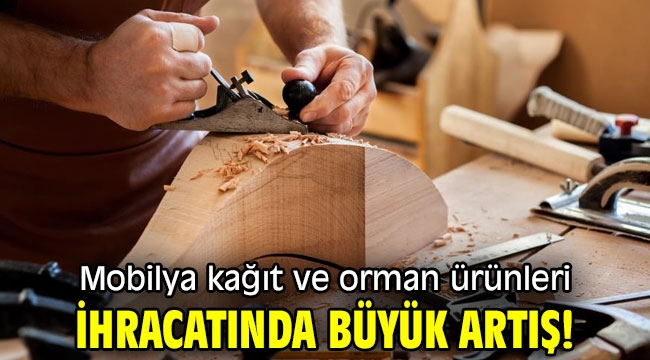 Mobilya kağıt ve orman ürünleri ihracatında büyük artış!