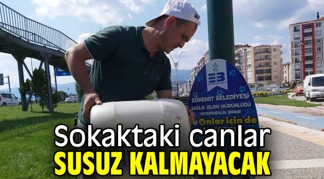 Sokaktaki canlar susuz kalmayacak