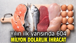 Yılın ilk yarısında 604 milyon dolarlık ihracat