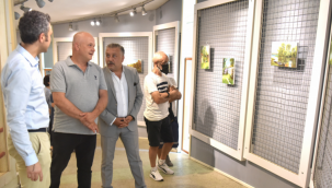 Sanatçının dostu Bornova