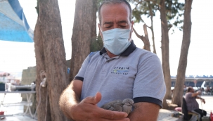 Anneyle yavrusu buluştu!