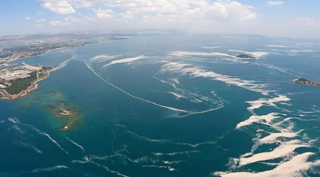 Marmara Denizi'nde yeni tehlike: Oksijen azlığı! 