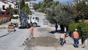 Ada'da sorunlara hızlı çözüm