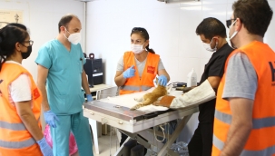 Bayraklı'da eğitim!