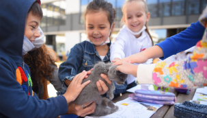 "Can dostlarımızın yaşam hakkını savunuyoruz"