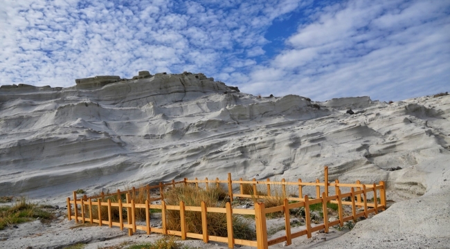 Çeşme'de kum zambakları koruma altına alındı