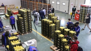 İhracatta rekora koşuyor!